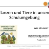 Lernbaustein - Biologie 01 - Pflanzen und Tiere in unserer Schulumgebung